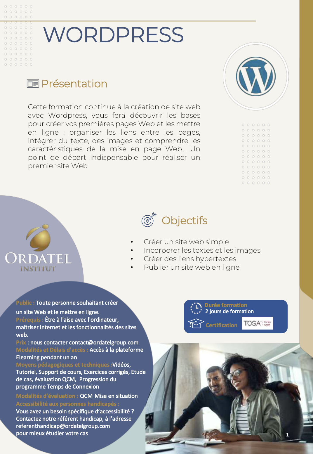 open pdf